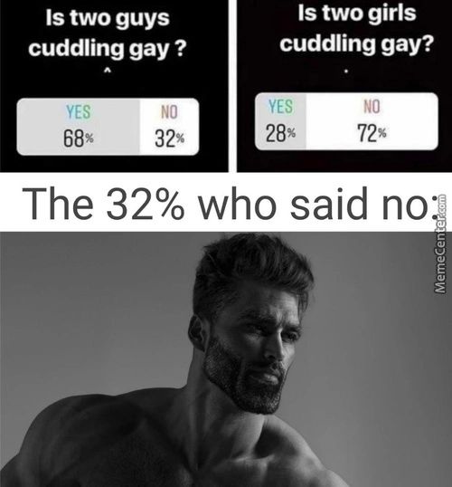 Is Two Guys
Cuddling Gay ?
Is Two Girls
Cuddling Gay?
The 32% Who Said Noo
