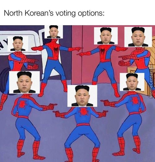North Korean's Voting Options:
