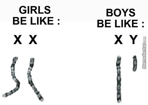GIRLS
BE LIKE :
BOYS
BE LIKE :
