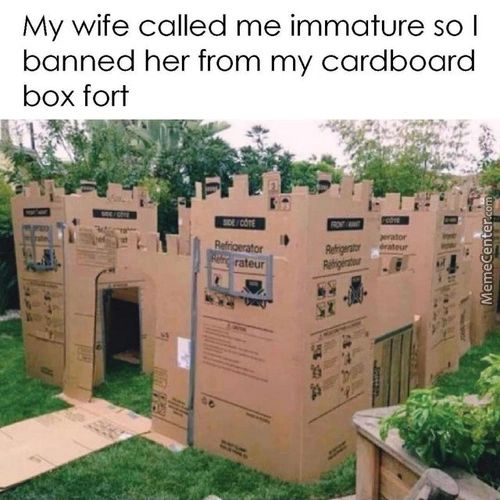 My Wife Called Me Immature So I
Banned Her From My Cardboard
Box Fort
