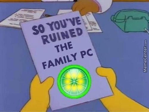 SO YOU'VE: C
RUINED
THE
FAMILY PC
