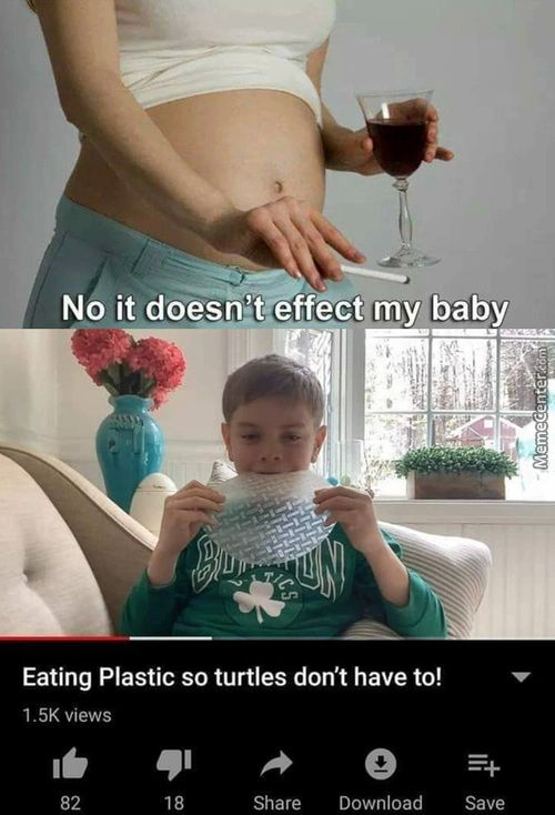 No It Doesn!teffeetmy Baby
Eating Plastic So Turtles Don't Have To!
1.5K Views
82
18
Share
Download
Save
