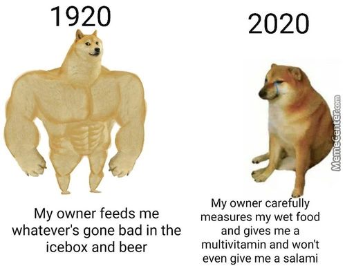 1920
My Owner Feeds Me
Whatever's Gone Bad In The
Icebox And Beer
2020
My Owner Care Ully
Measures My Wet Food
And Gives Me A
Multivitamin And Wont
Even Give Me A Salami
