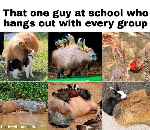 That One Guy At School Who
Hangs Out With Every Group
•niådéZWith Mematie
