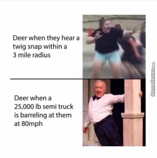 Deer When They Hear A
Twig Snap Within A
3 Mile Radius
Deer When A
25,000 Lb Semi Truck
Is Barreling At Them
At 80mph
