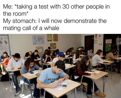 Me: *taking A Test With 30 Other People In
The Room*
My Stomach: I Will Now Demonstrate The
Mating Call Of A Whale
