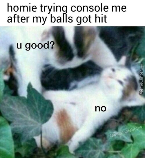 Homie Trying Console Me
After My Balls Got Hit
U Good?
No
