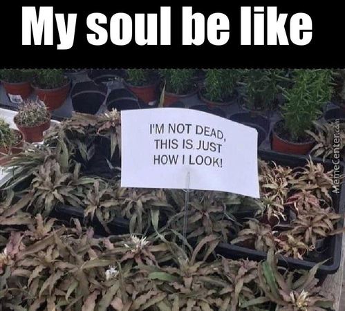 Mysoulneuue
I'M NOT DEAD,
THIS IS JUST
HOW I LOOK!
