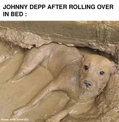 JOHNNY DEPP AFTER ROLLING OVER
IN BED :
Made Wiih%ematic
