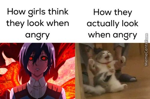 How Girls Think
They Look When
Angry
How They
Actually Look
When Angry
