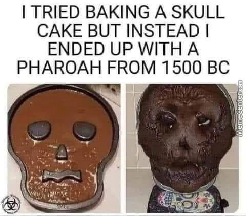 I TRIED BAKING A SKULL
CAKE BUT INSTEAD I
ENDED UP WITH A
PHAROAH FROM 1500 BC

