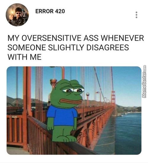 ERROR 420
MY OVERSENSITIVE ASS WHENEVER
SOMEONE SLIGHTLY DISAGREES
WITH ME

