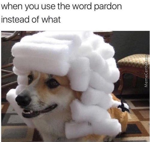 When You Use The Word Pardon
Instead Of What
