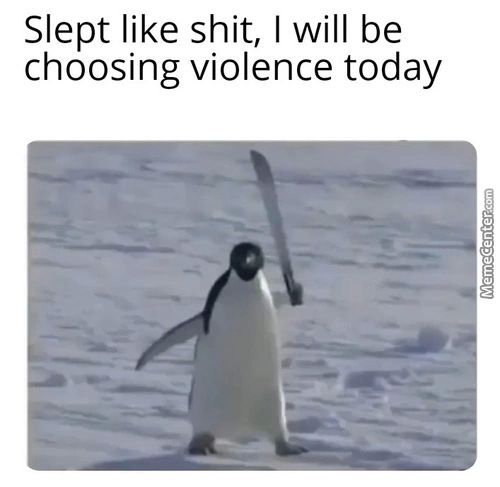 Slept Like Shit, I Will Be
Choosing Violence Today
