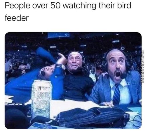 People Over 50 Watching Their Bird
Fee E R
