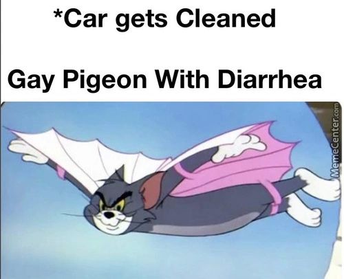 *Car Gets Cleaned
Gay Pigeon With Diarrhea
