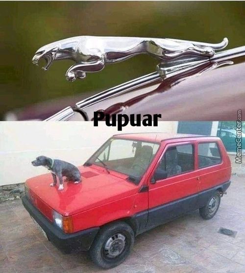 Puar
