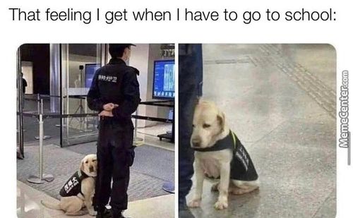 That Feeling I Get When I Have To Go To School:
