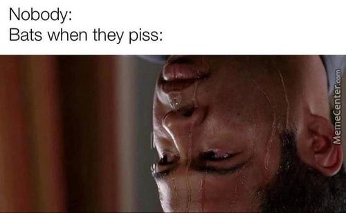 Nobody:
Bats When They Piss:
