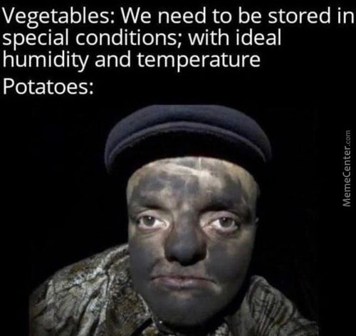 Vegetables: We Need To Be Stored In
Special Conditions; With Ideal
Humidity And Temperature
Potatoes:
