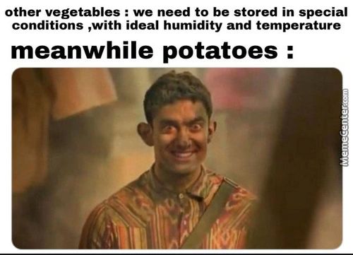 Other Vegetables : We Need To Be Stored In Special
Conditions ,with Ideal Humidity And Temperature
Meanwhile Potatoes :
