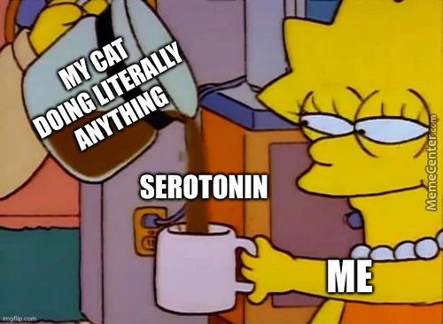 SEROTONIN
