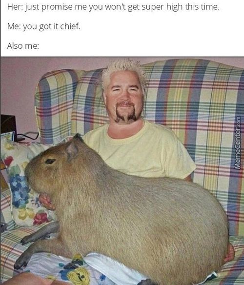 Her: Just Promise Me You Wont Get Super High This Time.
Me: You Got It Chief.
Also Me:
