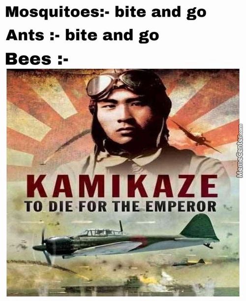 Mosquitoes:- Bite And Go
Ants Bite And Go
Bees
KAMIKAZE
TO DIE FOR THE EMPEROR
