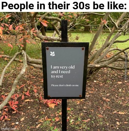 People In Their 30s Be Like:
I Am Very Old
And I Need
To Rest
Pk•xse Don On
