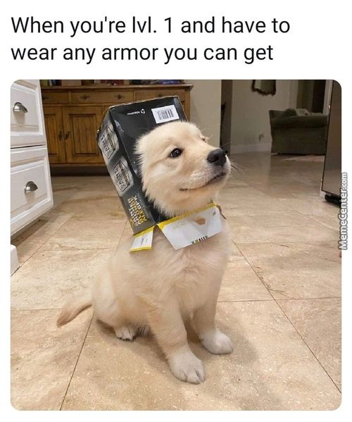 When You're Lvl. 1 And Have To
Wear Any Armor You Can Get
