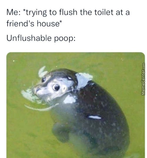Me: *trying To Flush The Toilet At A
Friend's House*
Unflushable Poop:
