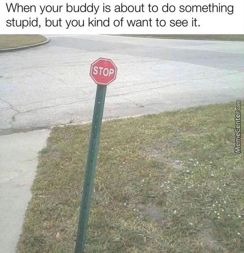 When Your Buddy Is About To Do Something
Stupid, But You Kind Of Want To See It.
