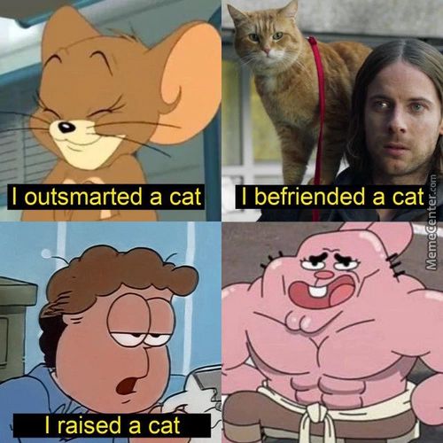 I Outsmarted A Cat
I Raised A Caf
I Befriended A Cat U)
