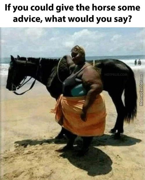 If You Could Give The Horse Some
Advice, What Would You Say?
