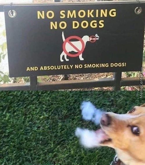 NO SMOKING
NO DOGS
AND ABSOLUTELY NO SMOKING DOGS!
