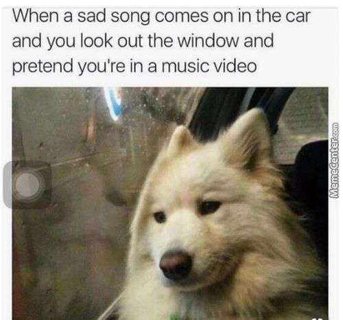 When A Sad Song Comes On In The Car
And You Look Out The Window And
Pretend You're In A Music Video

