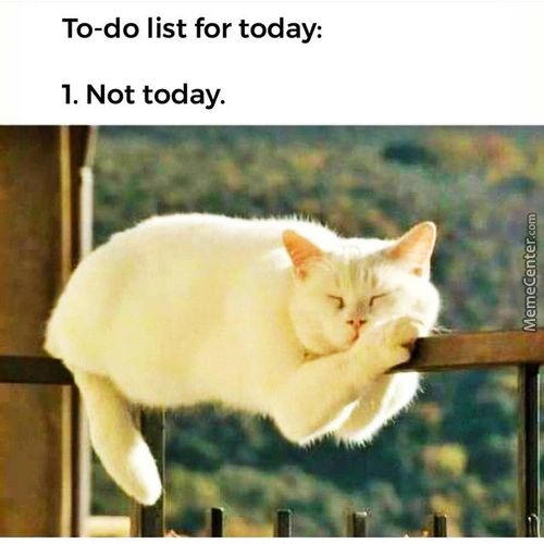 To-do List For Today:
1. Not Today.

