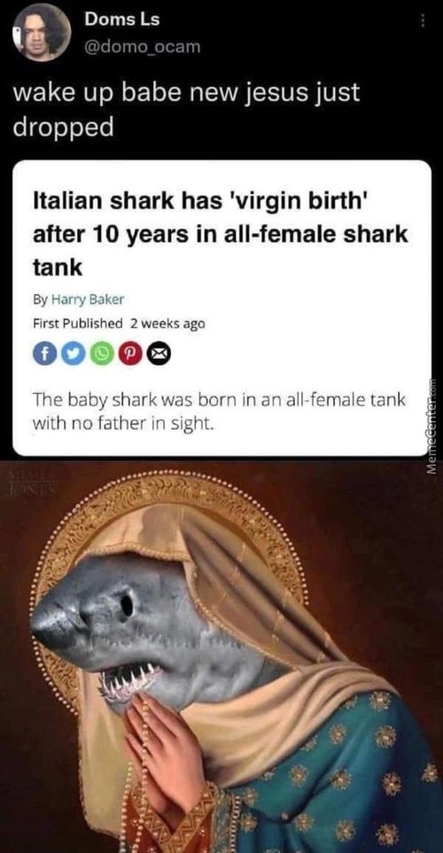 Doms Ls
@domo ocam
Wake Up Babe New Jesus Just
Dropped
Italian Shark Has 'virgin Birth'
After 10 Years In All-female Shark
Tank
By Harry Baker
First Published 2 Weeks Ago
Ooooe
The Baby Shark Was Born In An All-female Tank
With No Father In Sight.
