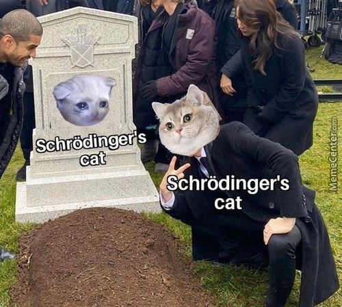 Schrödinger's
Cat
Schrödinger's
Cat
