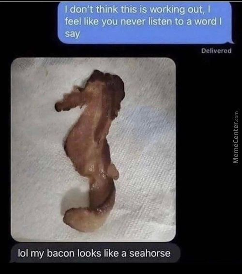 I DOn'tthihkthis Is Working Out,
Feel Like' You Never Listen To A Word I
Delivered
101 My Bacon Looks Like A Seahorse
