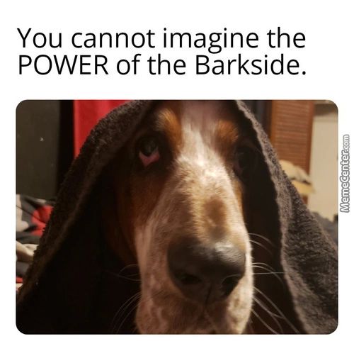You Cannot Imagine The
POWER Of The Barkside.
