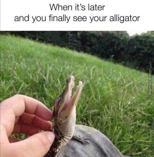 When It's Later
And You Finally See Your Alligator

