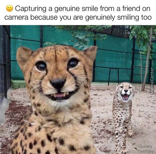 Capturing A Genuine Smile From A Friend On
Camera Because You Are Genuinely Smiling Too
