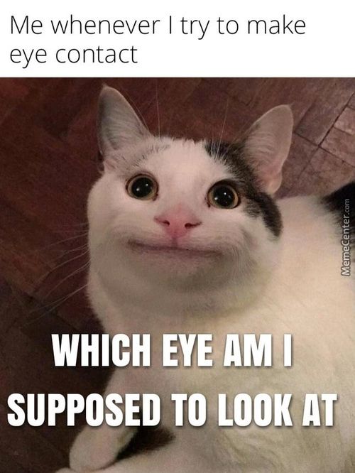 Me Whenever I Try To Make
Eye Contact
WHICH EYE AM I
SUPPOSED TO LOOK AT
