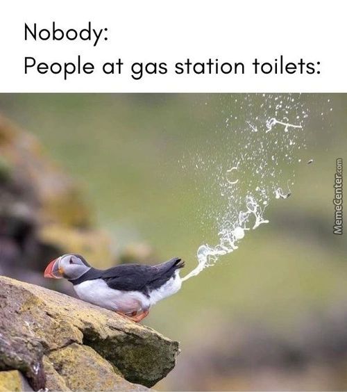 Nobody:
People At Gas Station Toilets:
