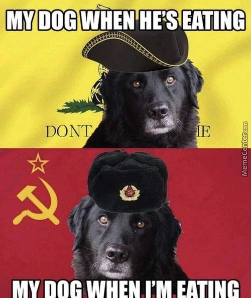 MY DOG EATING
DONT
