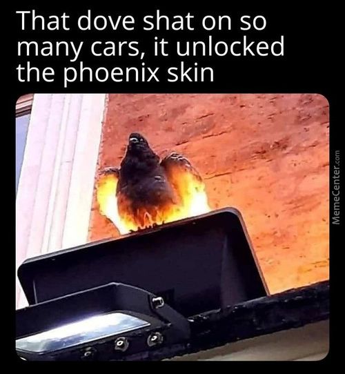That Dove Shat On So
Many Cars, It Unlocked
The Phoenix Skin
