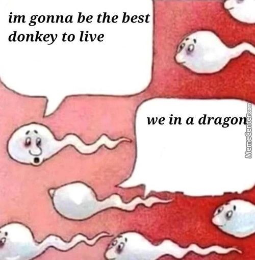 Im Gonna Be The Best
Donkey To Live
E'
We In A Drago
