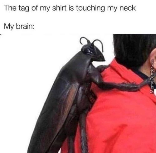 The Tag Of My Shirt Is Touching My Neck
My Brain:
