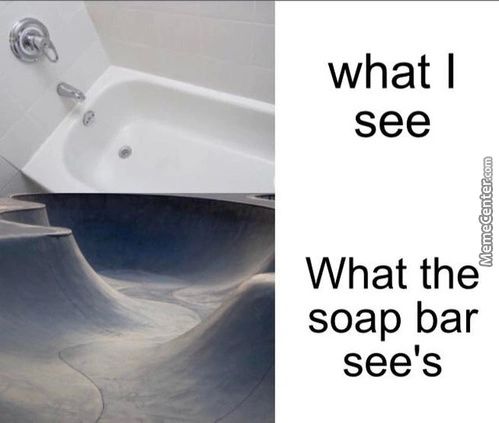 -EEL .
What I
See
What The
Soap Bar
See's
